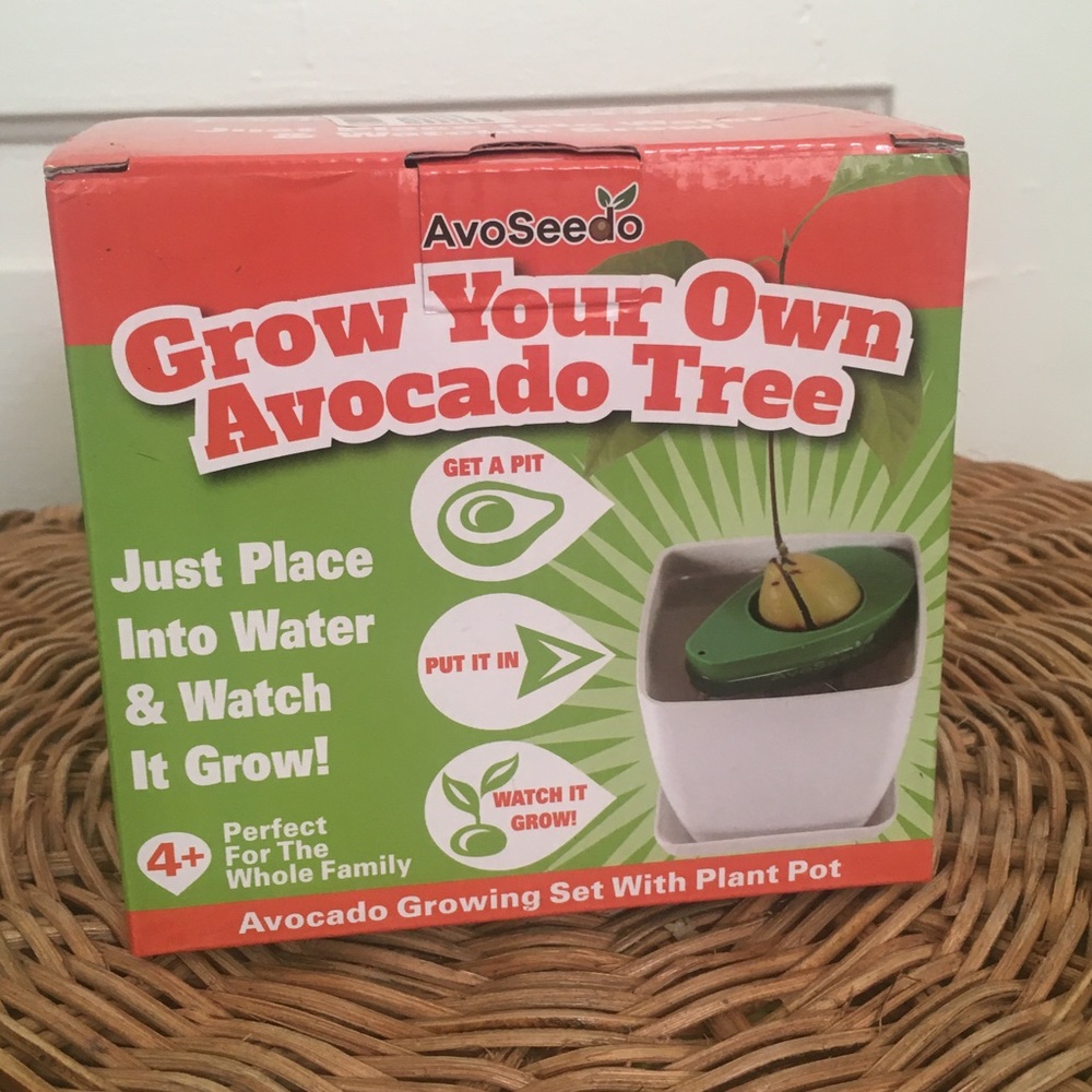 Avoseedo Grow Your Own Avocado Tree Kit